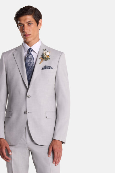 Albert Silver 2 Piece Suit