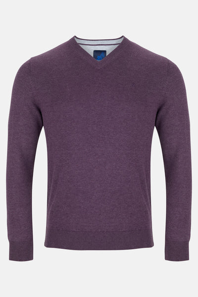V Neck Plum Sweater