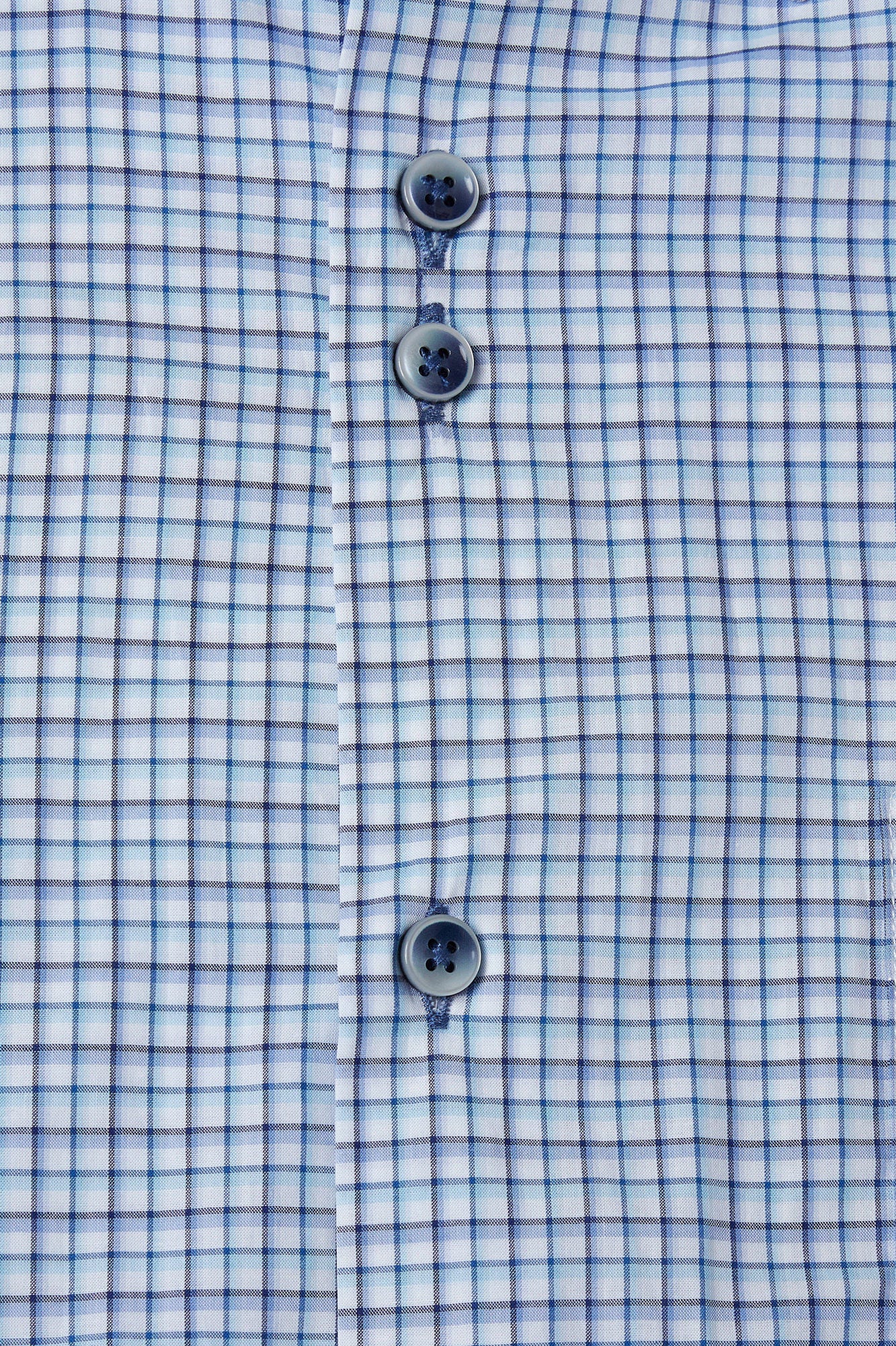 Paloma Sky Short Sleeve Benetti Shirt