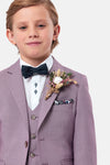 Boys Albert Blush 3pc suit